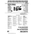 SONY CCDTR617V