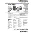 SONY DCRTRV11 Service Manual