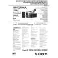 SONY DCRTRV110/E/P Service Manual