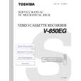 TOSHIBA V850EG