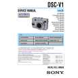 SONY DSC-V1 LEVEL2 Service Manual