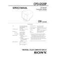 SONY CPDG250P Service Manual